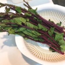 むらさきつるなとオクラの さっぱりポン酢がけ レシピ 作り方 By えだ豆カシューナッツ 楽天レシピ むらさきつるなとオクラの さっぱりポン酢がけ レシピ 作り方 By えだ豆カシューナッツ 楽天レシピ